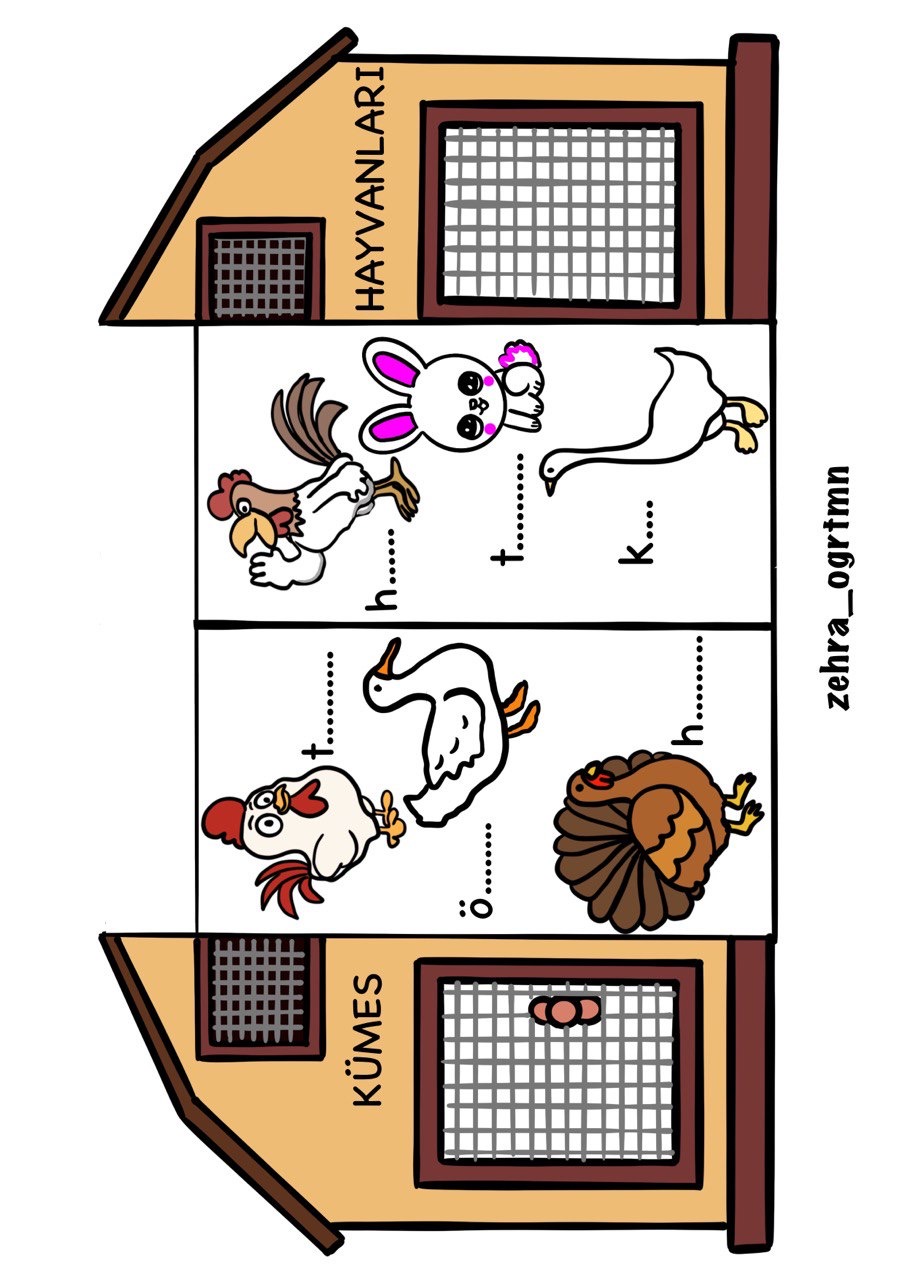 Çevremizdeki Hayvanlar Etkinliği