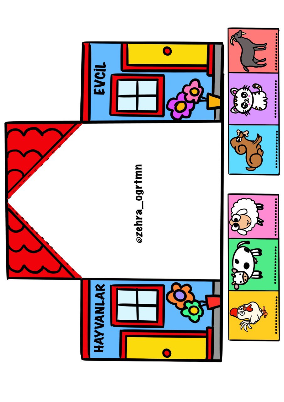 Çevremizdeki Evcil Hayvanlar Etkinliği