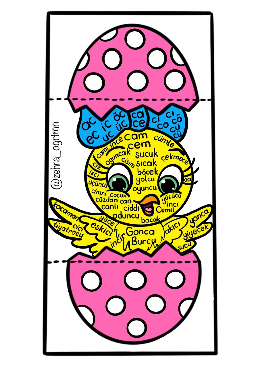 C Sesi Civciv Etkinliği