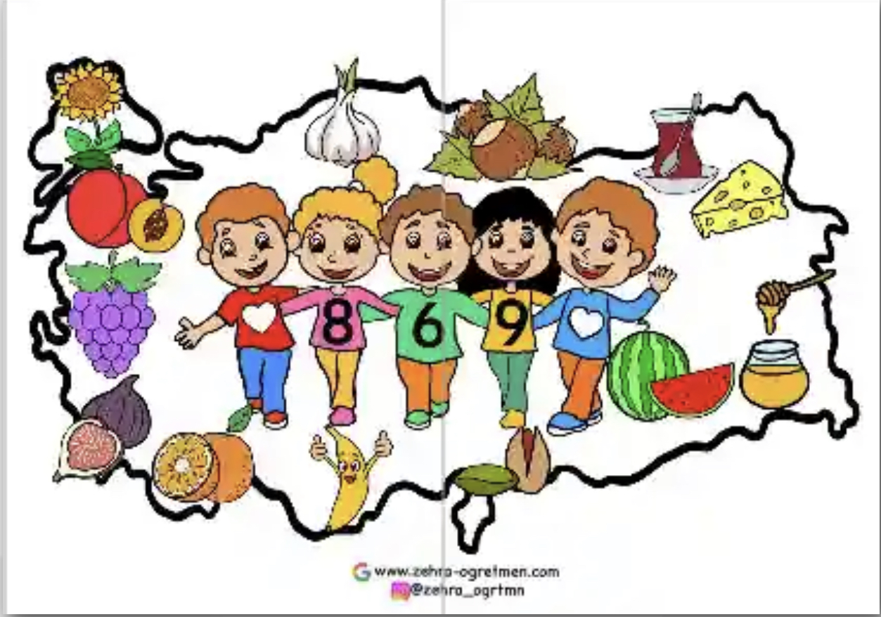 869 Yerli Malı Haritası Beyaz Renk ( 2 A4)