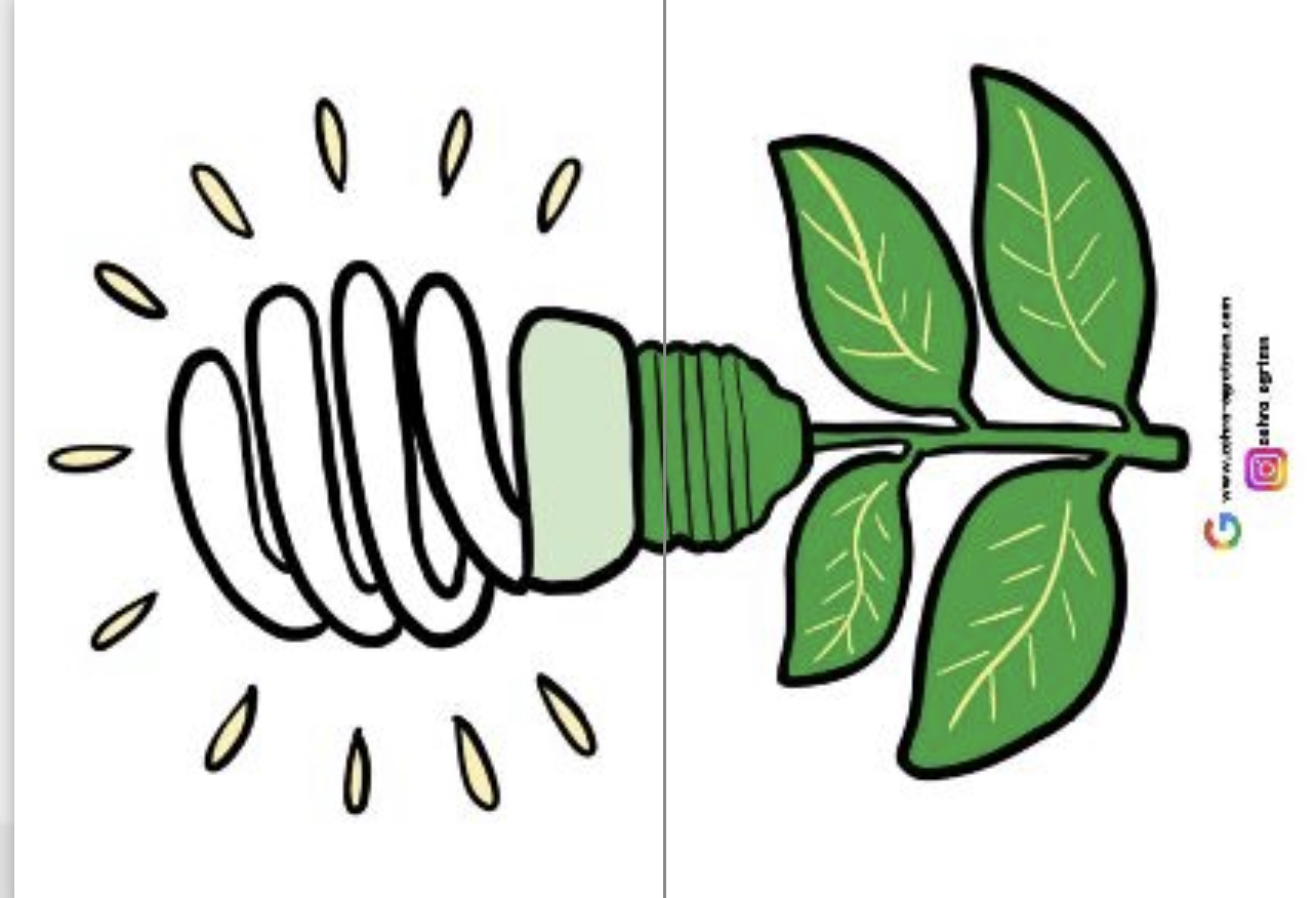 2 A4 Pano Görselleri