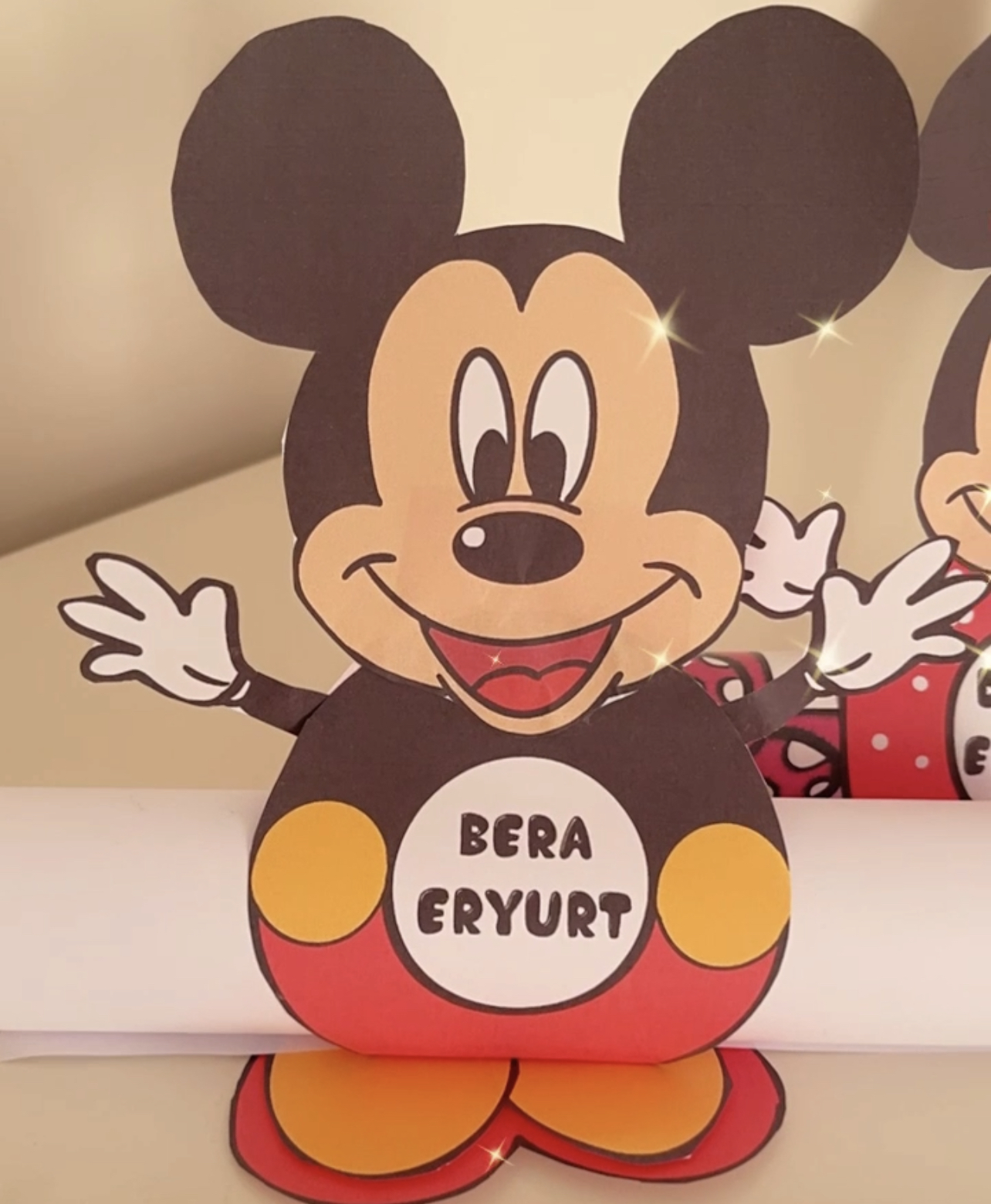 Mickey ve Minnie 3 Boyutlu Karne Kılıfı