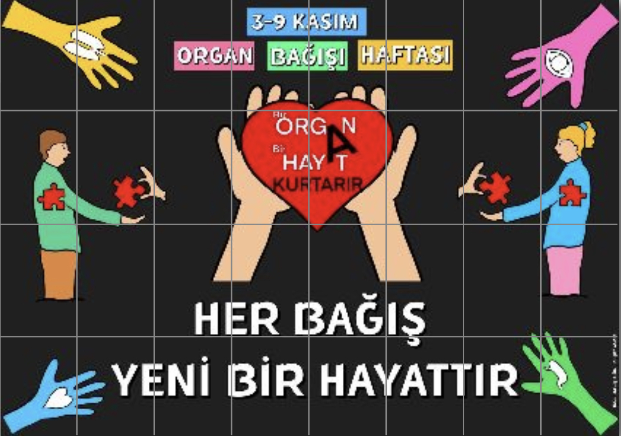 Organ Bağışı Haftası Pano Etkinliği ( 32 A4 RENKLİ)