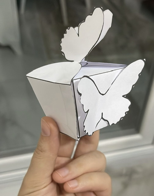 Kelebek Şeker Kutusu