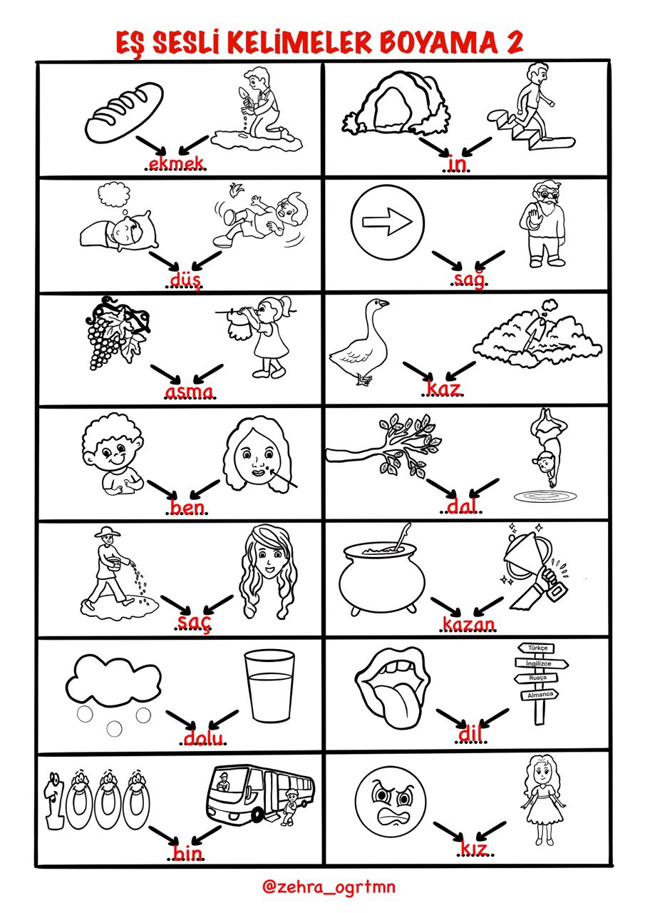 Eş Sesli Kelimeler Boyama Çalışması