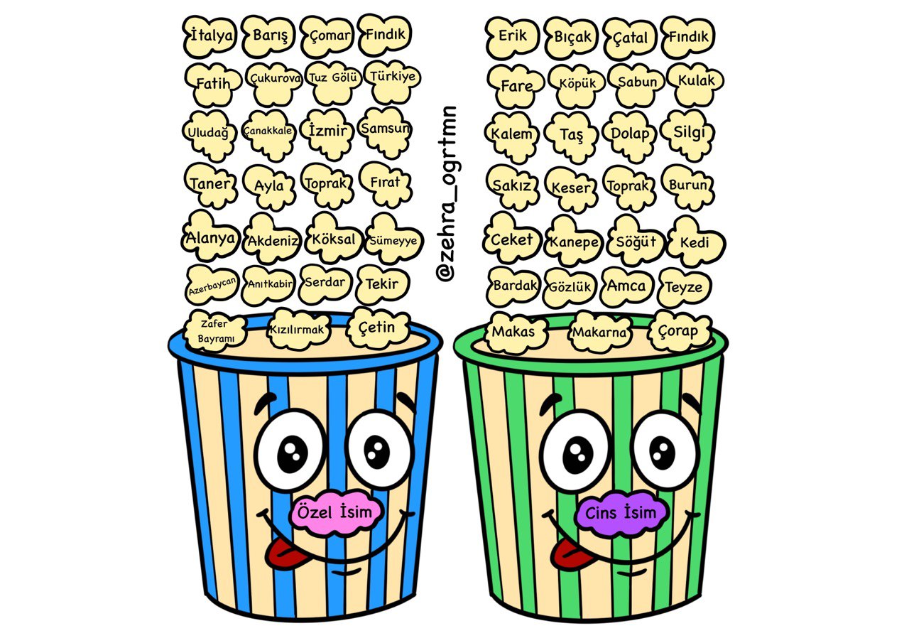 Özel İsim Cins İsim Etkinliği