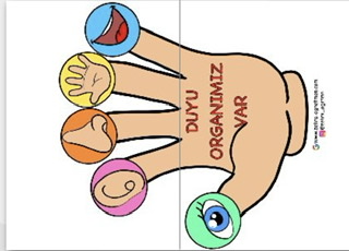 2.Konu Duyu Organları El Görseli ( 2A4)