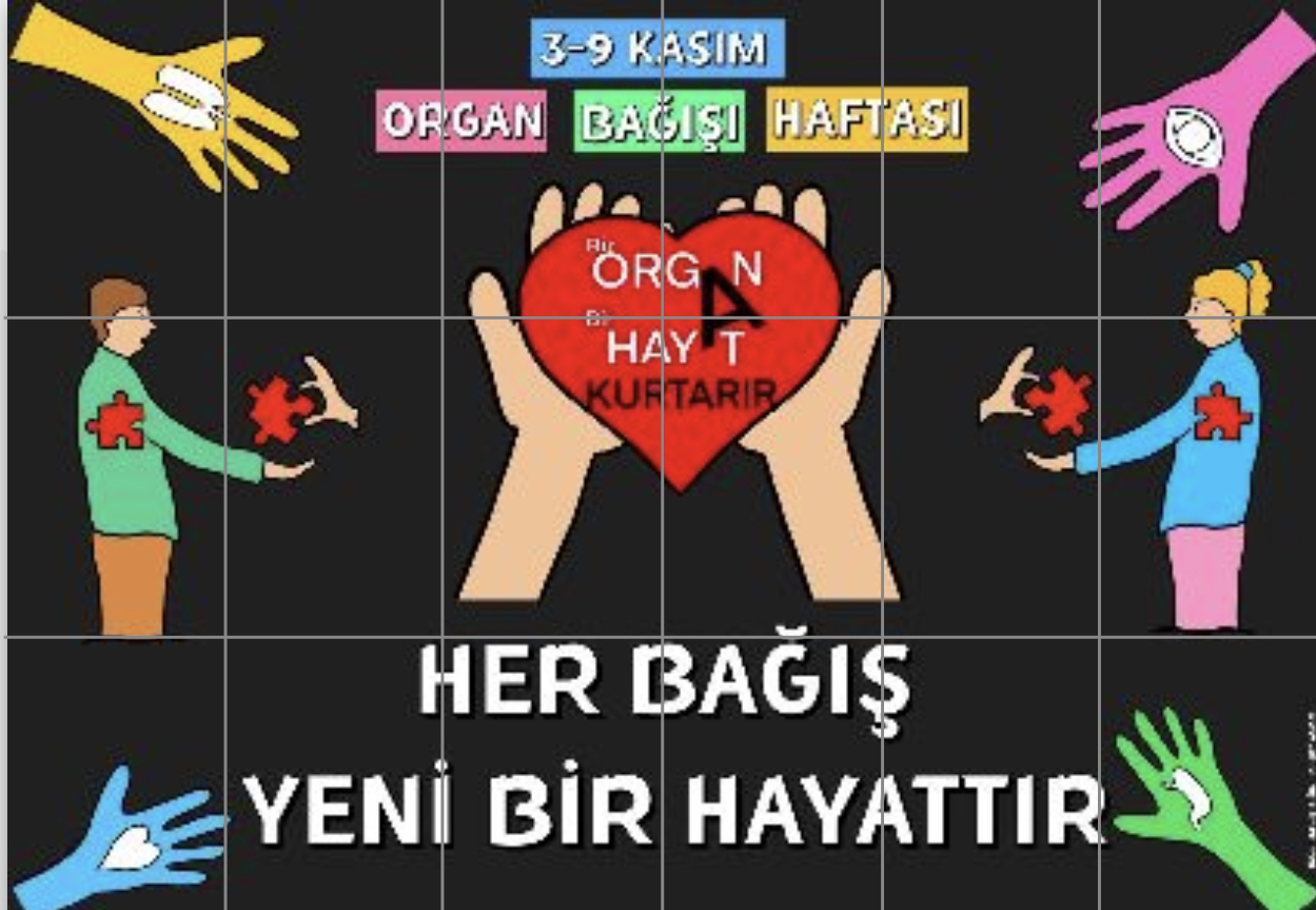 Organ Bağışı Haftası Pano Etkinliği ( 18 A4 RENKLİ)