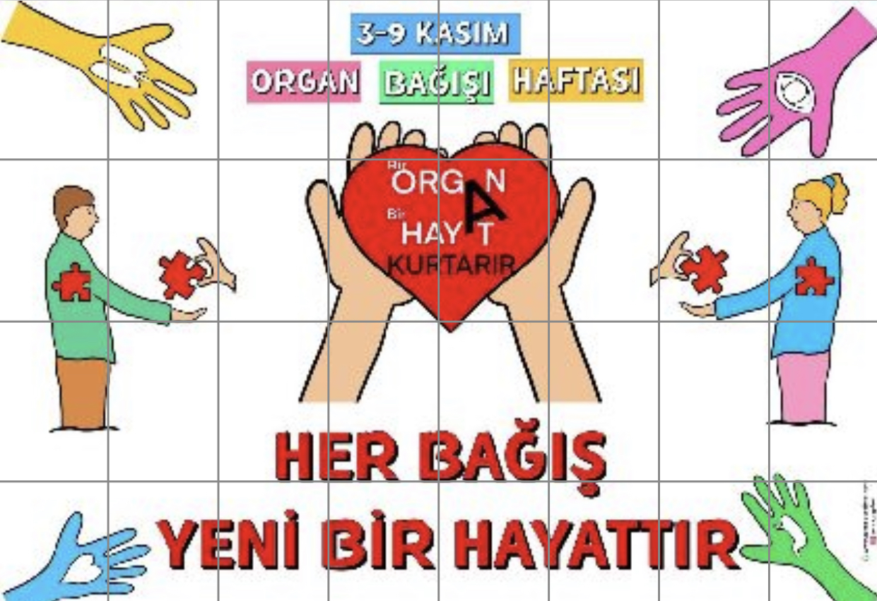 32 A4 Beyaz Arka Planlı Pano