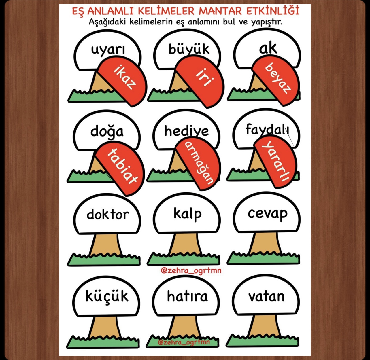 Eş Anlamlı Kelimeler Mantar Etkinliği