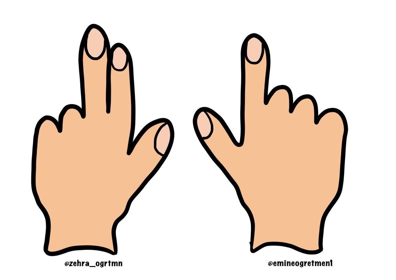 Sağ Sol Beyin Egzersizi Çalışması