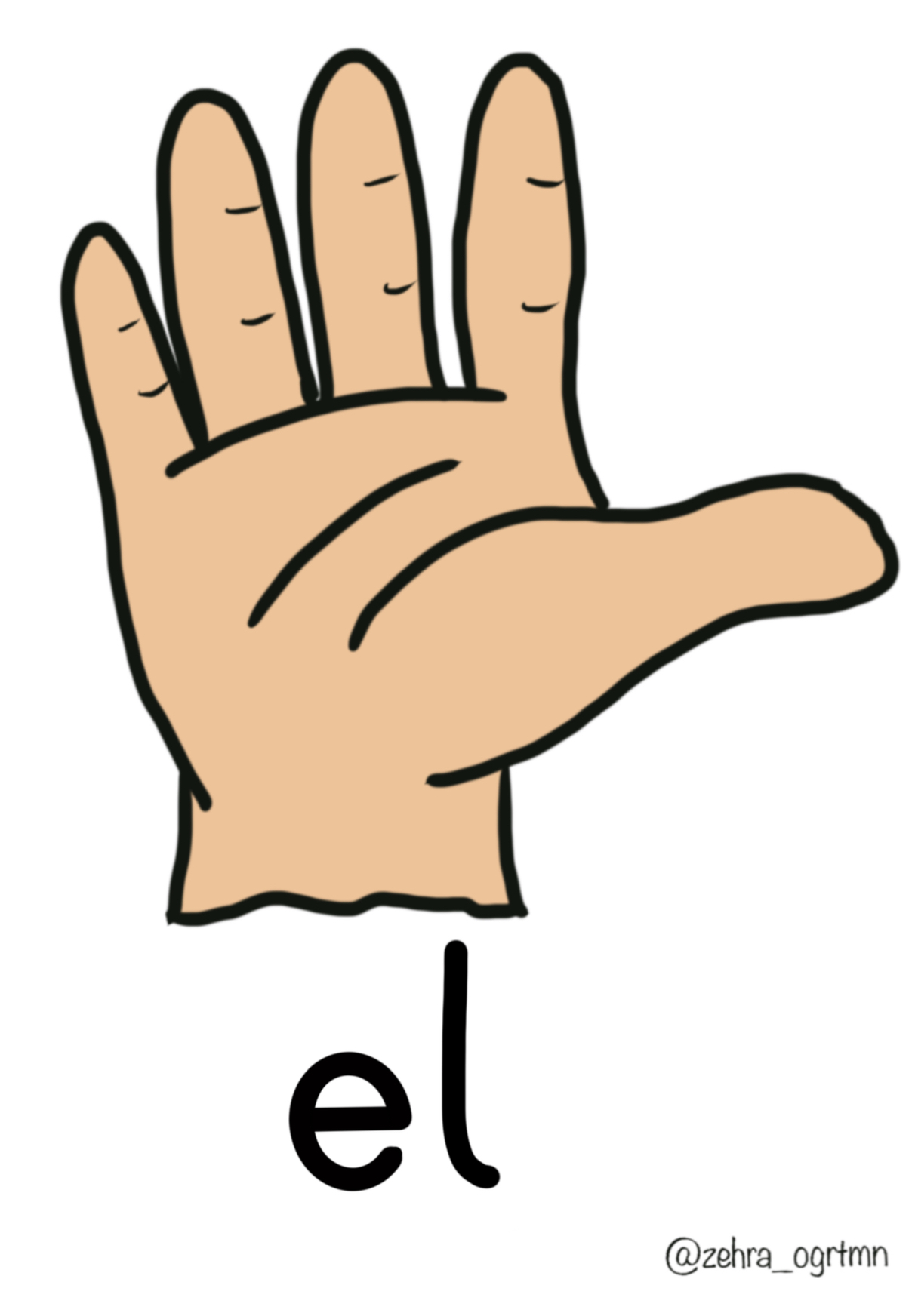 E ve L SESİ A4 GÖRSELLERİ