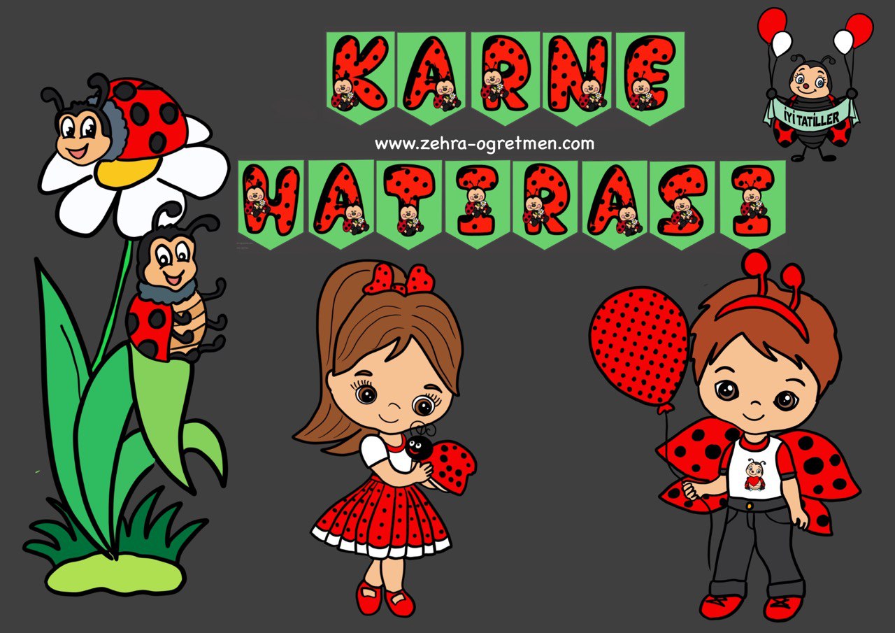 Uğur Böcekli Karne Hatırası Flama ( Renkli)