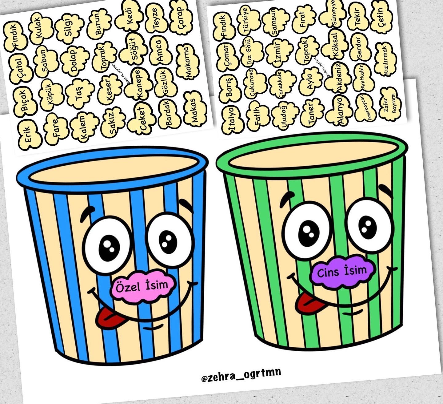 1. Sınıf Özel İsim Cins İsim Etkinliği