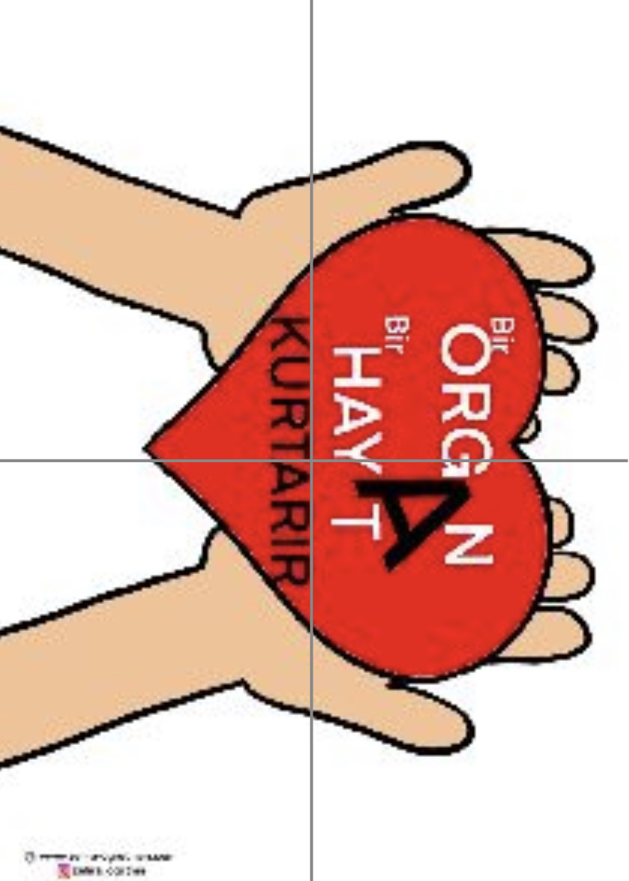 4 A4 Bir Organ Bir Hayat Kurtarır