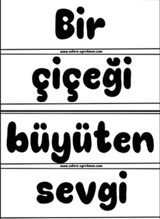 Bir Çiçeği Büyüten Sevgi İnsanı Değiştirmez mi Sanıyorsun ( Küçük Boy RENKSİZ)