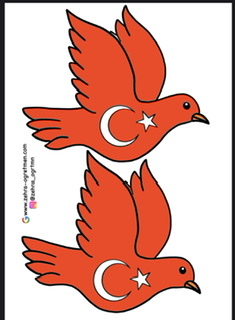 15 Temmuz Bayraklı Güvercin RENKLİ RENKSİZ