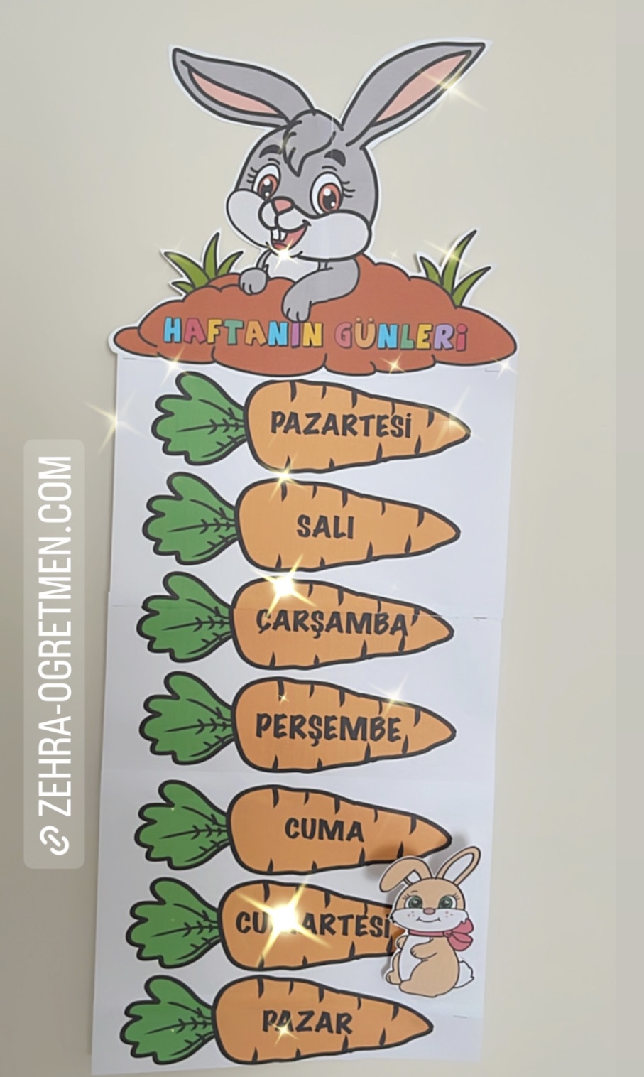 Haftanın Günleri Havuçlar ( A4 RENKLİ)