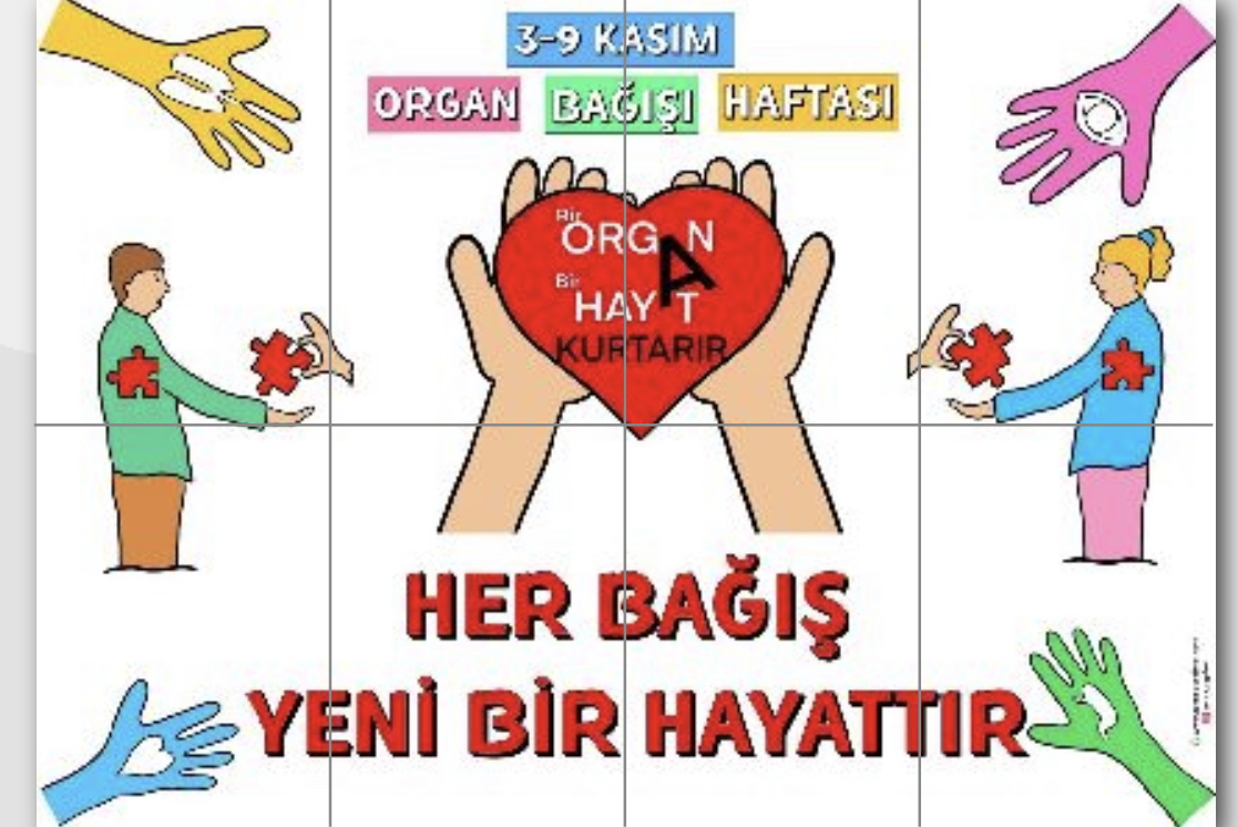 8 A4 Beyaz Arka Planlı Pano