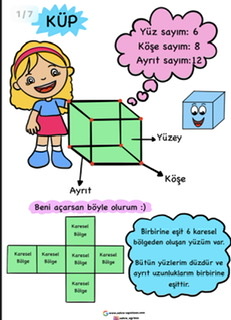 3. Sınıf Geometrik Cisimler Beyaz Arka Planlı