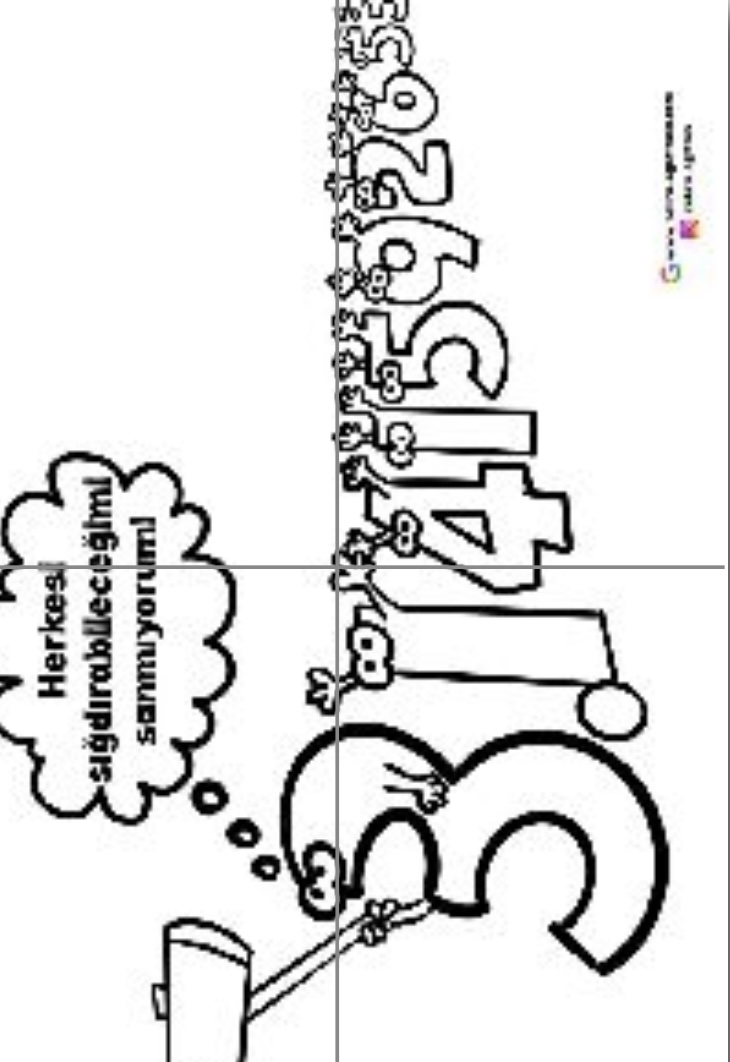 4 A4 Öz Çekim Yapan Pi Görseli Renksiz