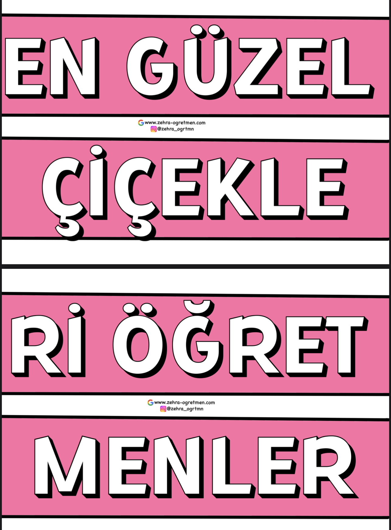 En Güzel Çiçekleri Öğretmenler Yetiştirir KÜÇÜK BOY RENKLİ RENKSİZ
