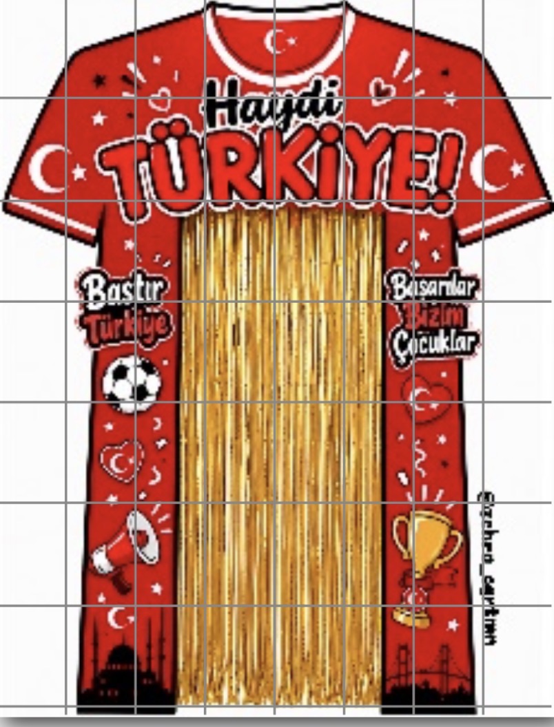 64 A4 Haydi Türkiye Panosu