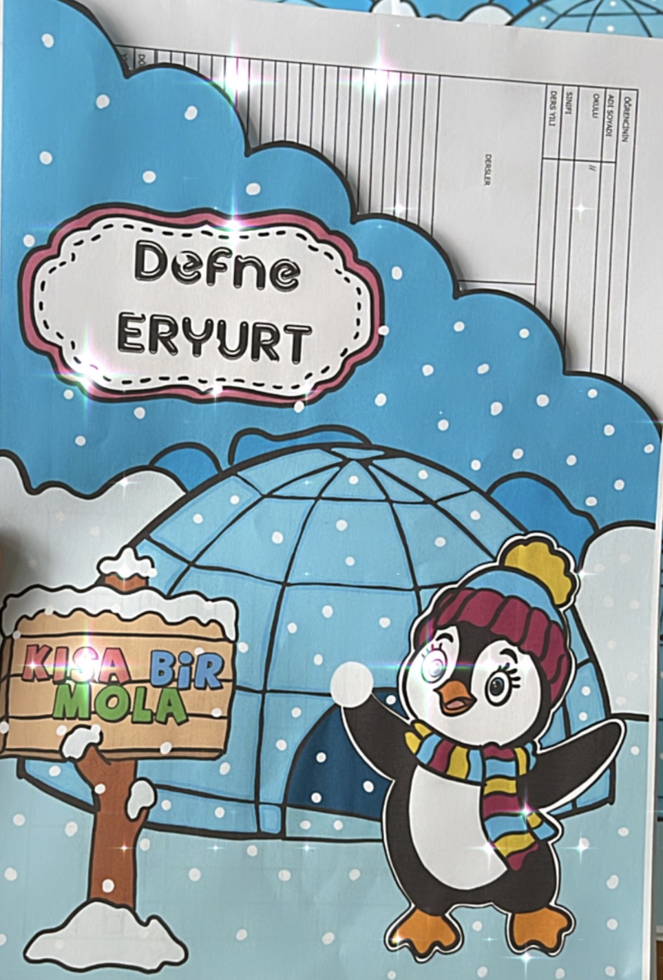 Penguenli Karne Kılıfı ( Kısa Bir Mola)