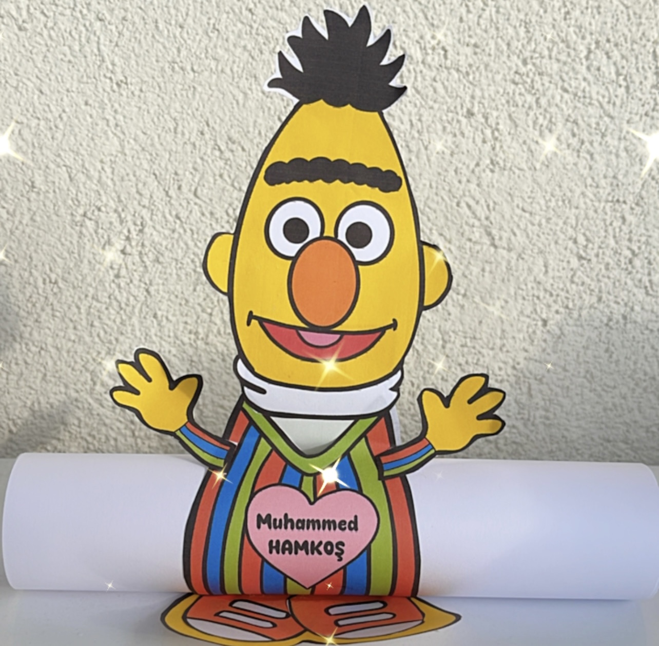 SUSAM SOKAĞI KARNE KILIFI RENKSİZ