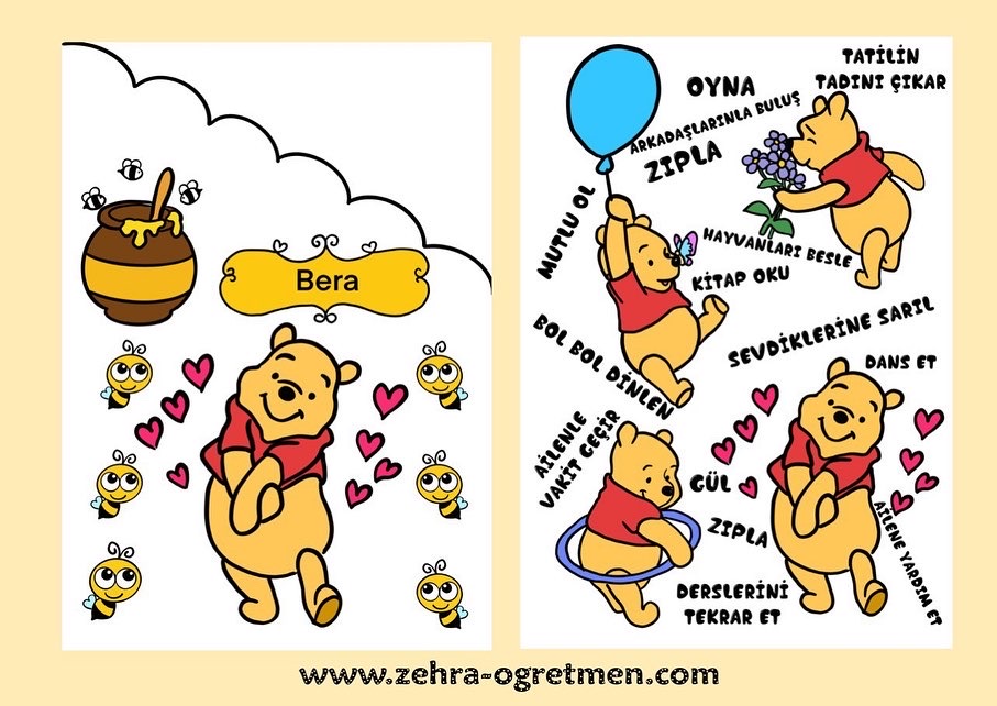WİNNİE THE POOH KARNE KILIFI ( RENKLİ RENKSİZ)
