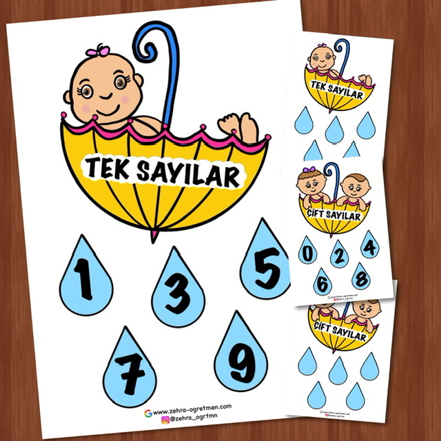 Tek ve Çift Sayılar Pano Çalışması ve Yaz Sil