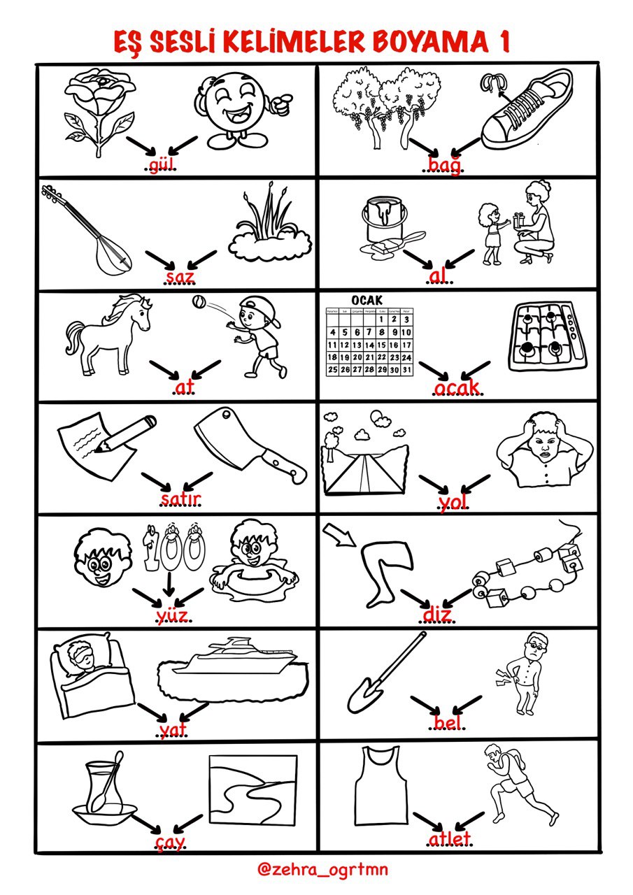 Eş Sesli Kelimeler Boyama Etkinliği