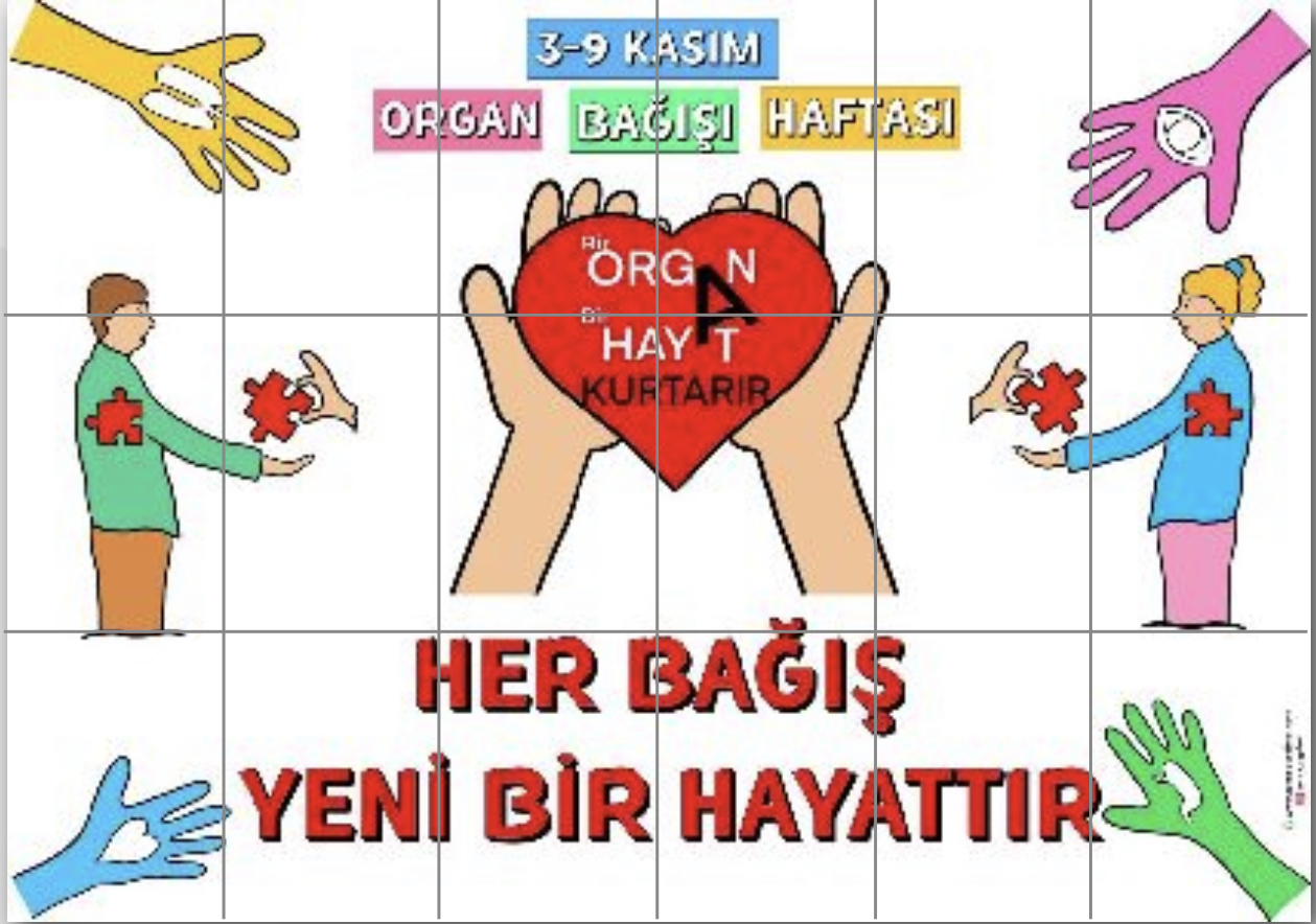 18 A4 Beyaz Arka Planlı Pano