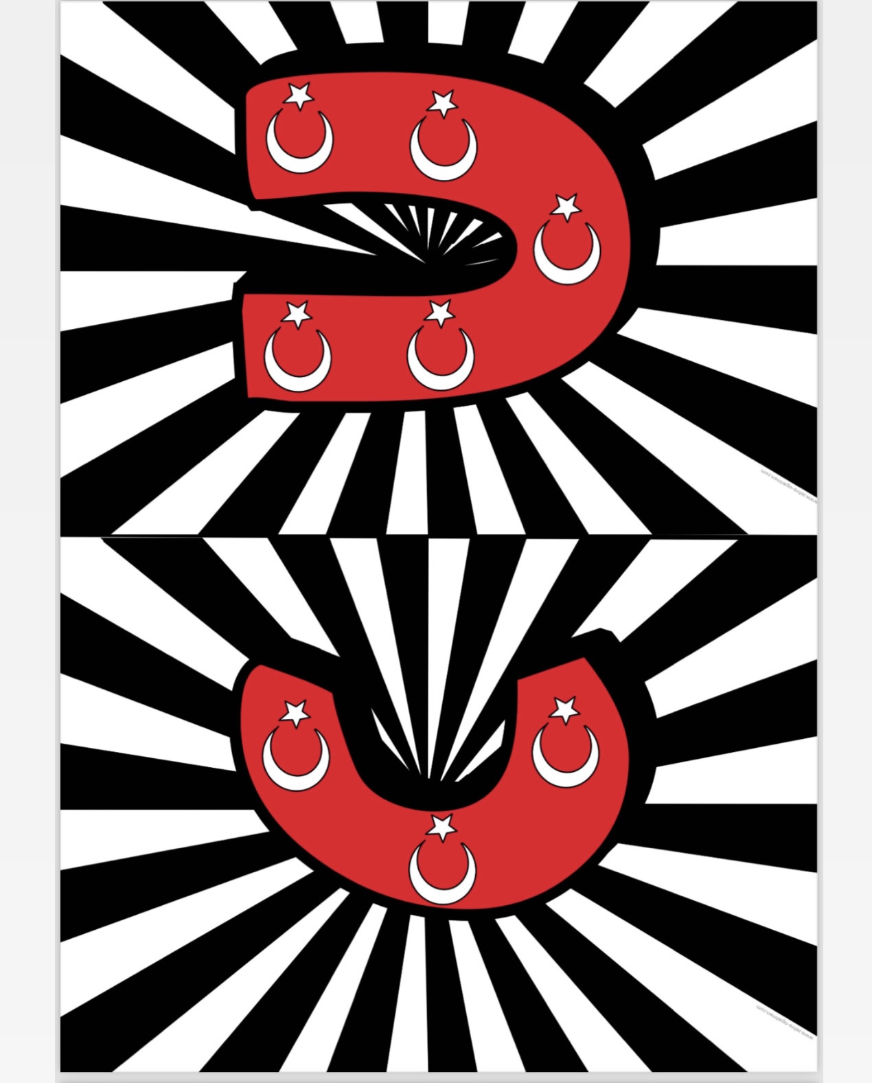 Cumhuriyet 100.Yıl Flama ( RENKLİ)