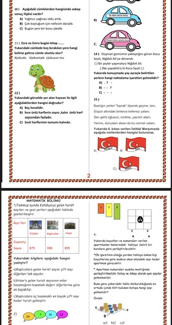 MART ayı DENEMESİ (Yeni Nesil Zeka Oyunları ile Uyarlanmış)
