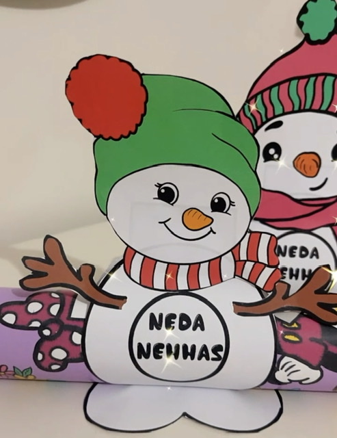 Olaflı Kardan Adamlı 3 Boyutlu Karne Kılıfları ( RENKLİ RENKSİZ)