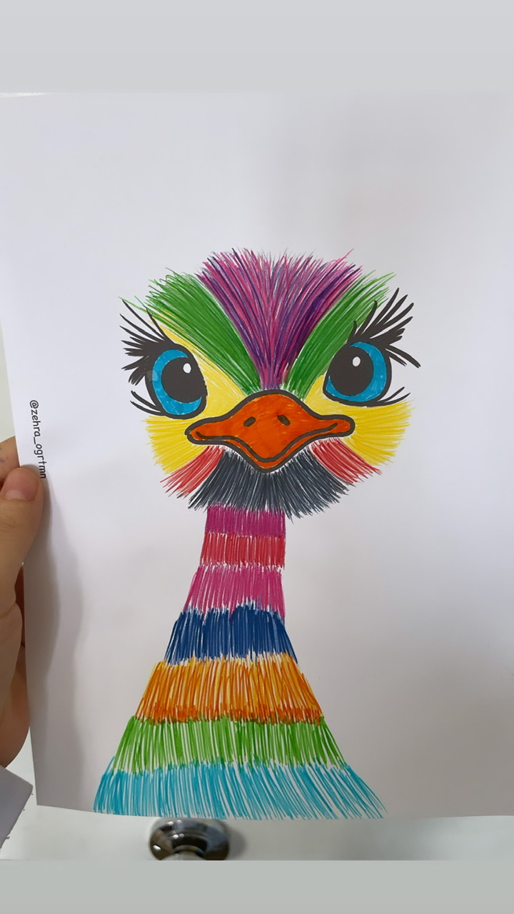 Deve Kuşu Etkinliği