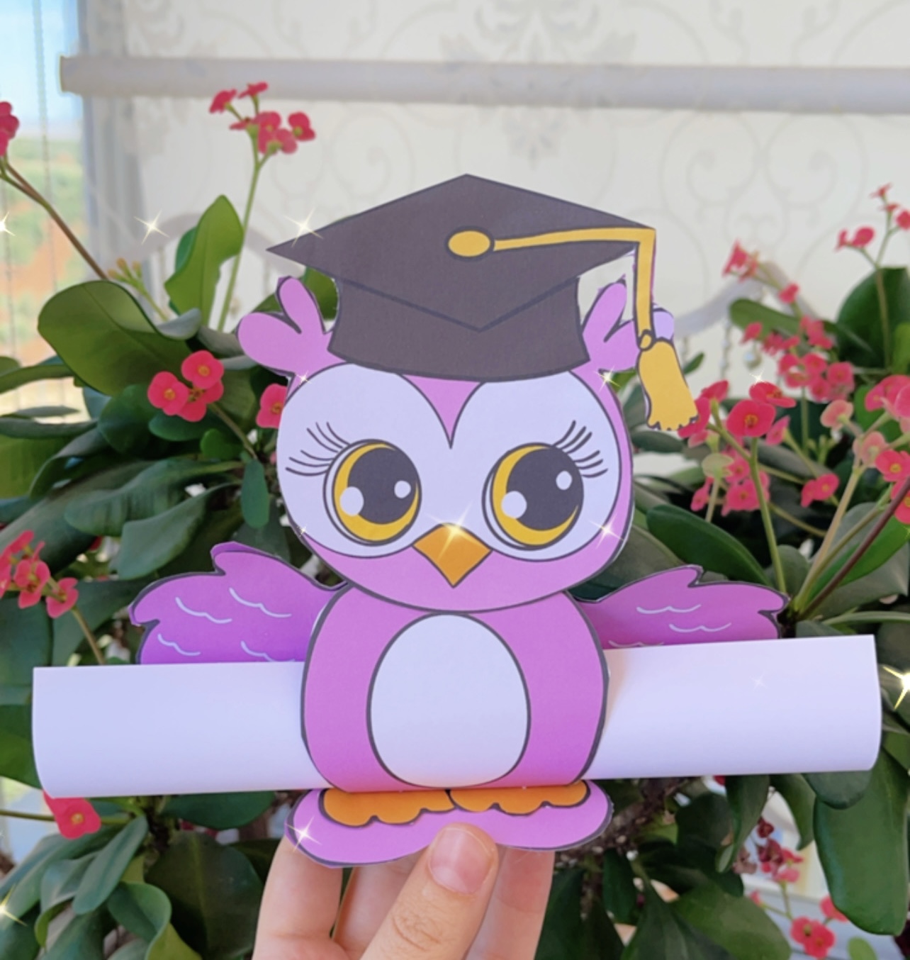 Baykuşlu Mezuniyet Kılıfları