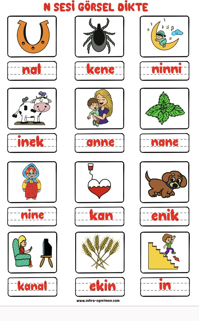 N Sesi Görsel Dikte