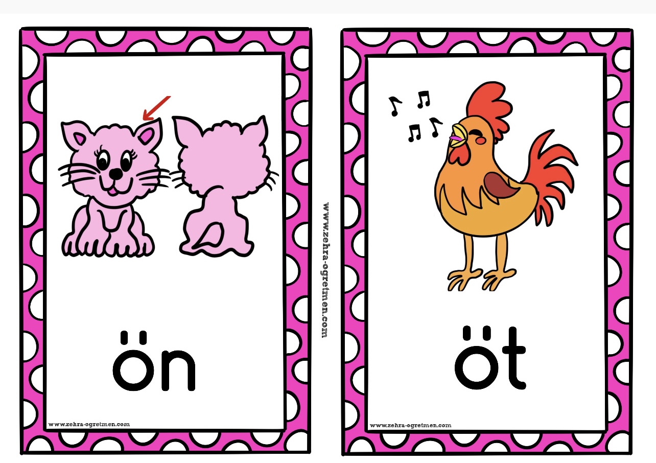 ÖRIDSB GÖRSEL OKUMA KARTLARI RENKLİ ( 133 ADET)