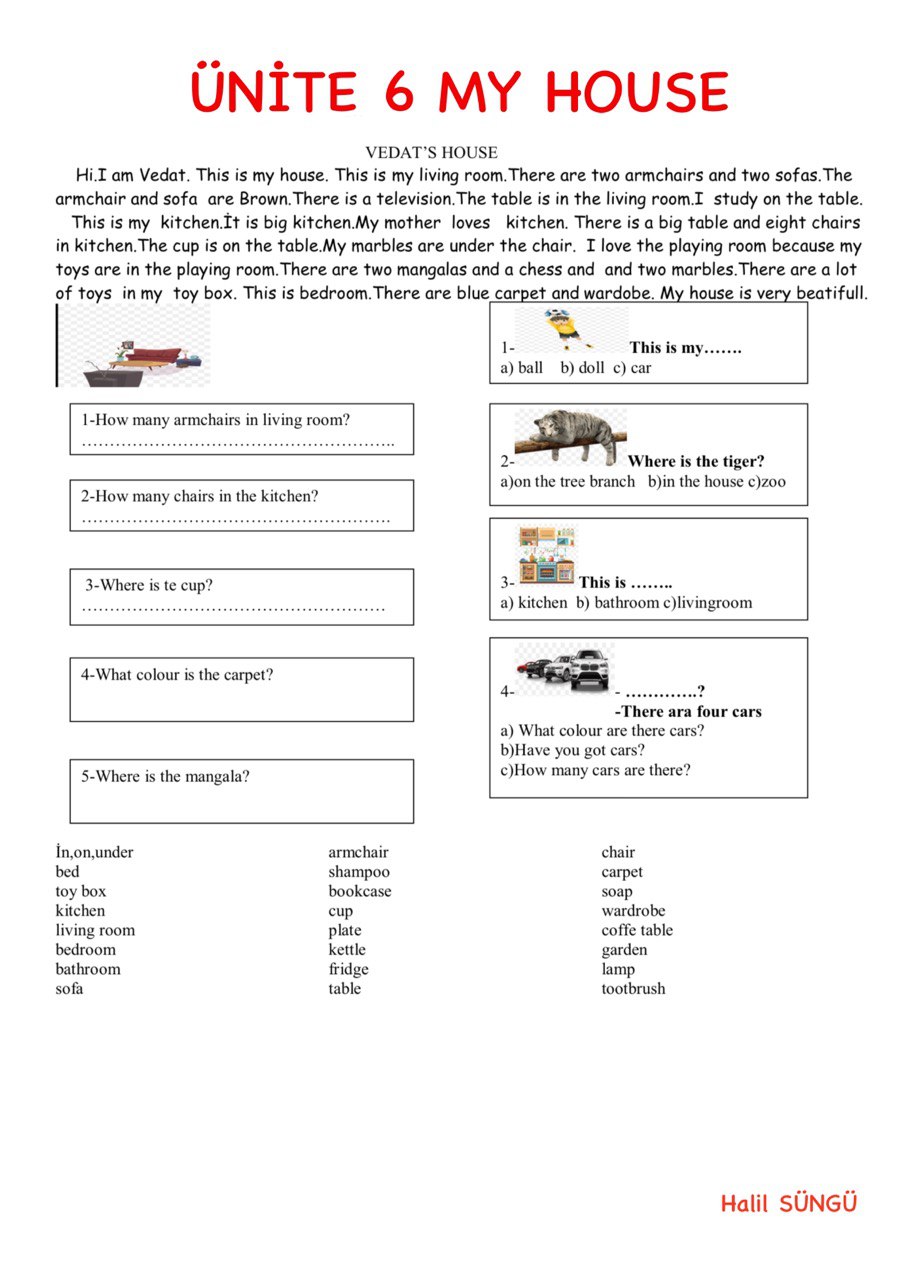 Ünite 6 My House ( Hikaye ve Kelime Çalışmaları)