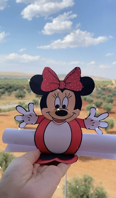 Mickey Minnie Mouse Karne Kılıfları