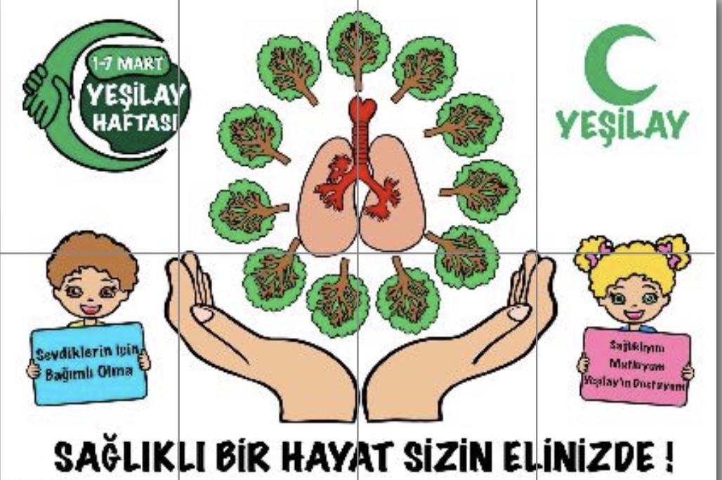 Renkli Yeşilay 8 a4 Çalışması