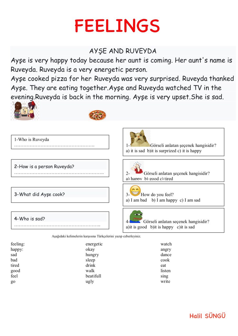 Feelings ( Hikaye ve Kelime Çalışması )