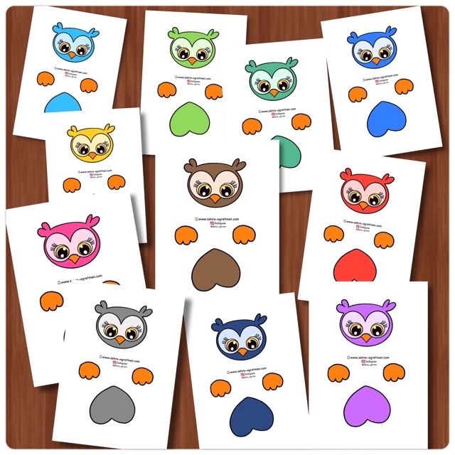 Karne Kılıfı ( Baykuş)