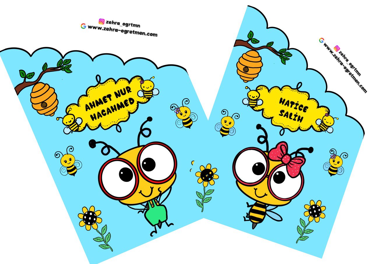 Arılı Karne Kılıfları Renkli Renksiz (2023)