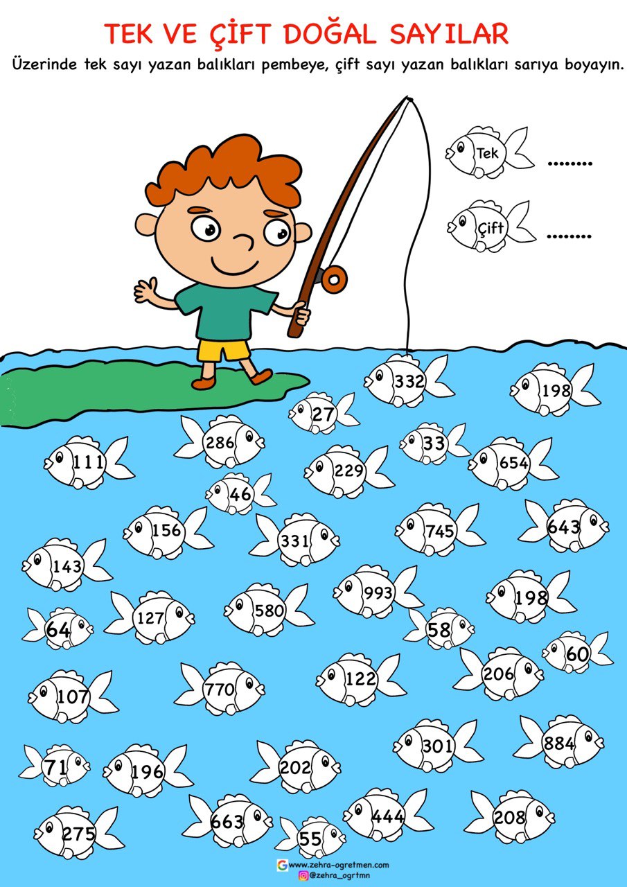 Tek ve Çift Etkinlik Sayfaları ve İnteraktif Defter Etkinliği