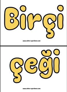 Bir Çiçeği Büyüten Sevgi İnsanı Değiştirmez mi Sanıyorsun ( Büyük Boy RENKLİ)