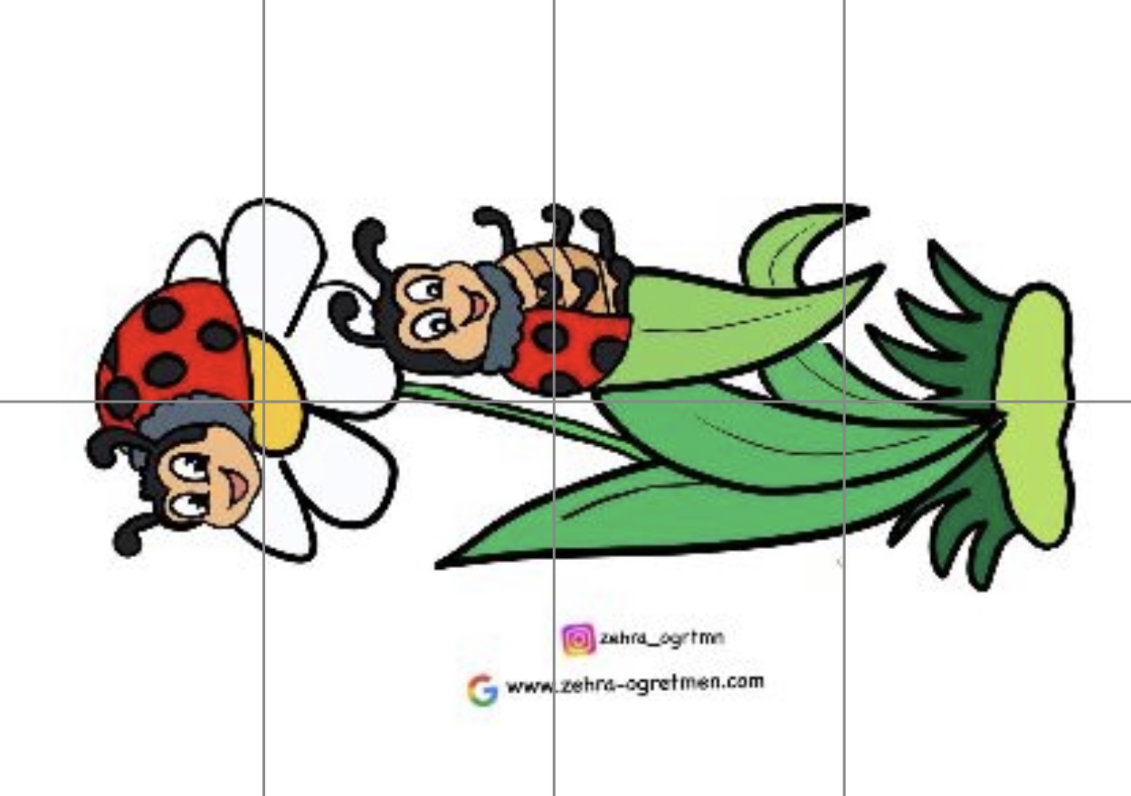 8 A4 Çiçek Üstünde Uğur Böcekleri ( RENKLİ RENKSİZ)