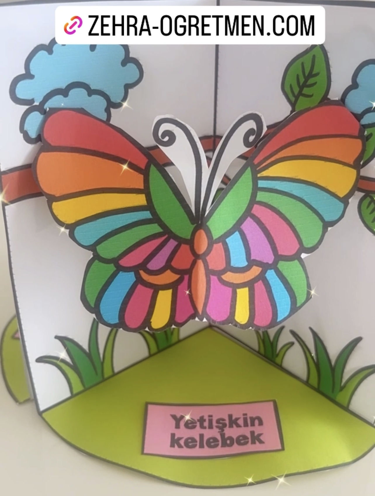 3 Boyutlu Kelebeğin Yaşam Döngüsü